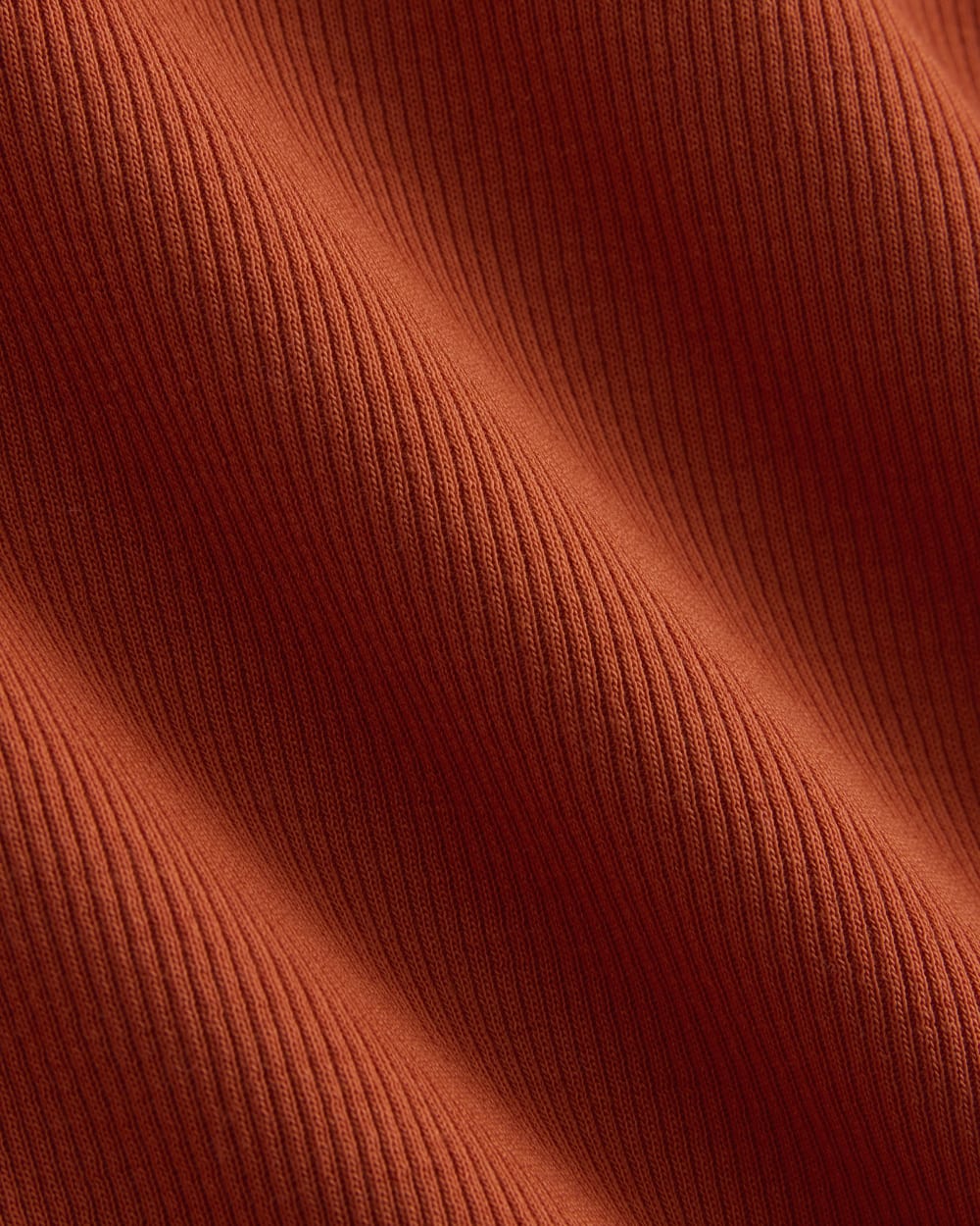 The Luxe Rib Long-Sleeve Crew | Rust - Image 6